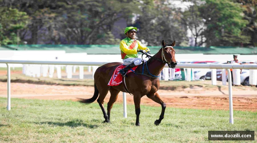佰富彩采购大厅-欢迎您携手共进，齐心迈向成功！